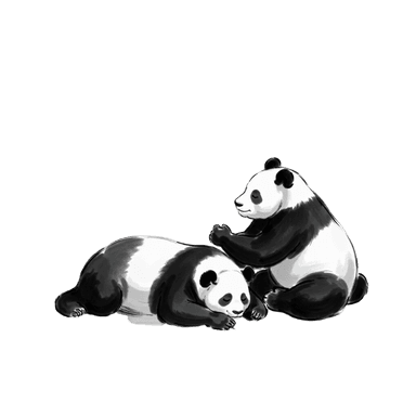 Anda-Atmen Panda